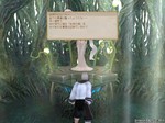 さらばBM